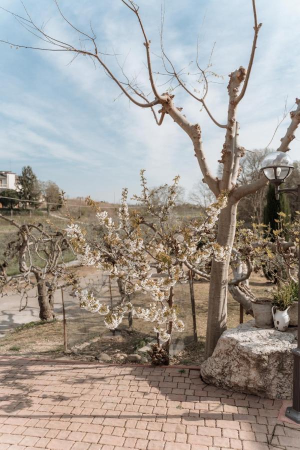 Agriturismo San Francesco Villa Valeggio sul Mincio Buitenkant foto