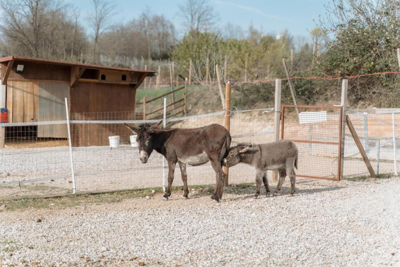 Agriturismo San Francesco Villa Valeggio sul Mincio Buitenkant foto