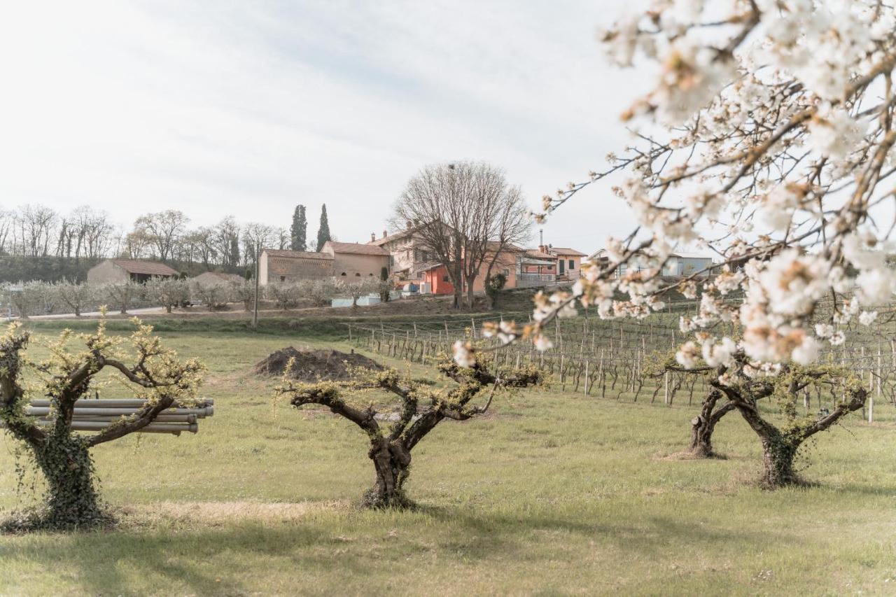 Agriturismo San Francesco Villa Valeggio sul Mincio Buitenkant foto