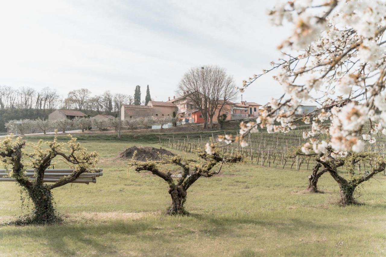 Agriturismo San Francesco Valeggio sul Mincio Buitenkant foto
