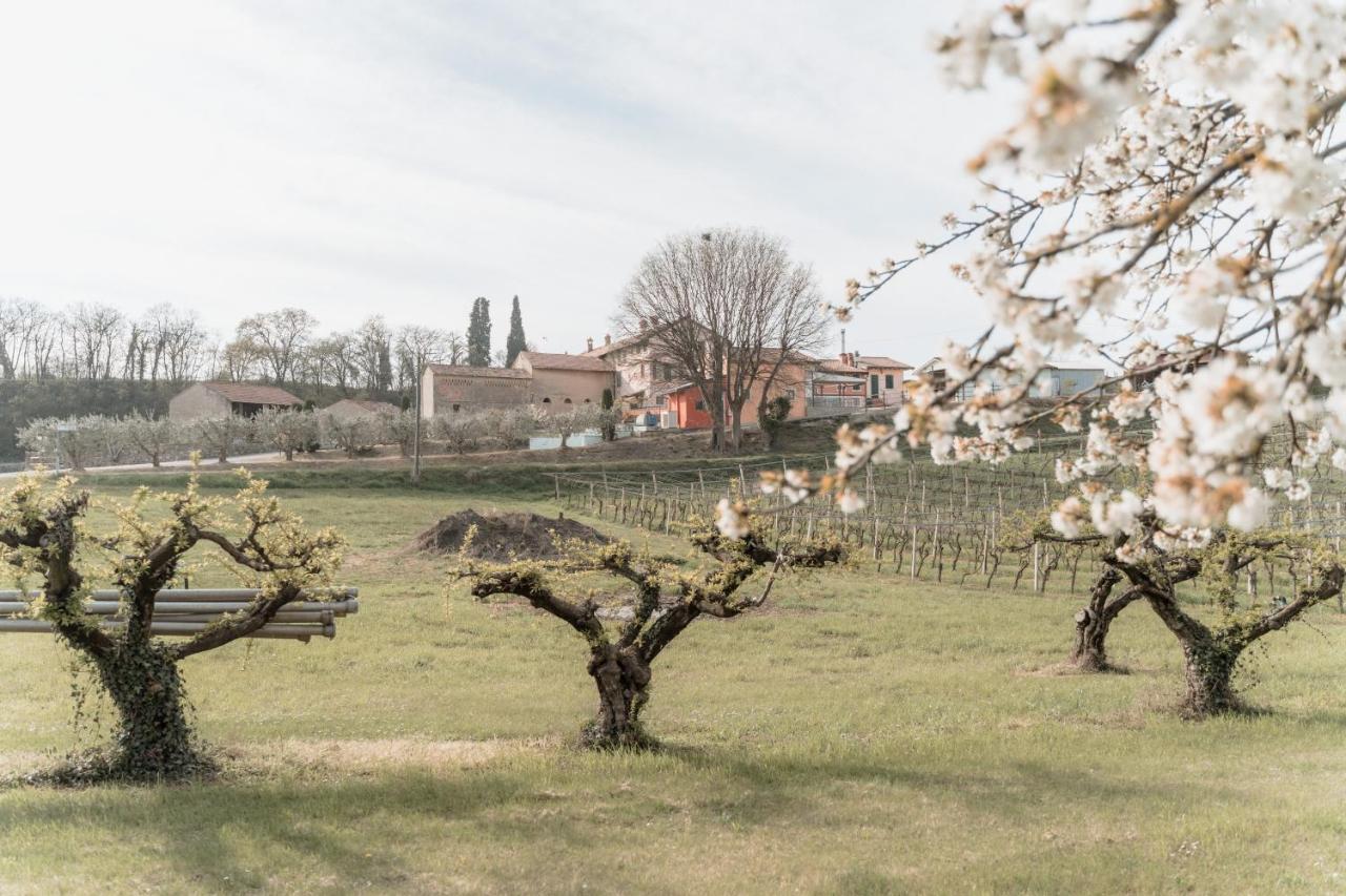 Agriturismo San Francesco Villa Valeggio sul Mincio Buitenkant foto