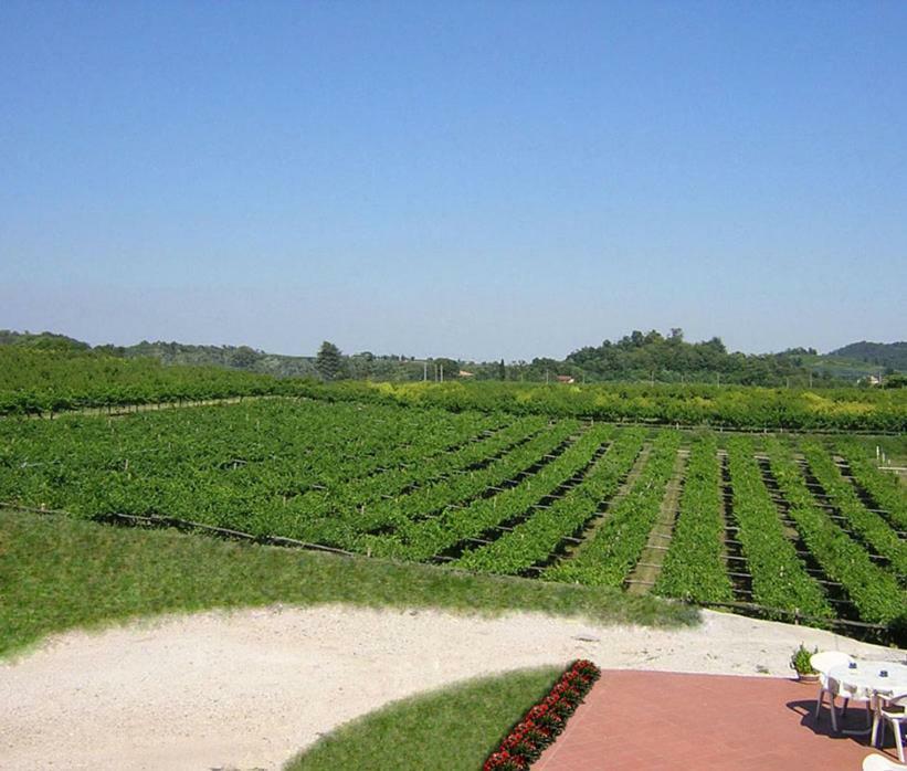 Agriturismo San Francesco Valeggio sul Mincio Buitenkant foto