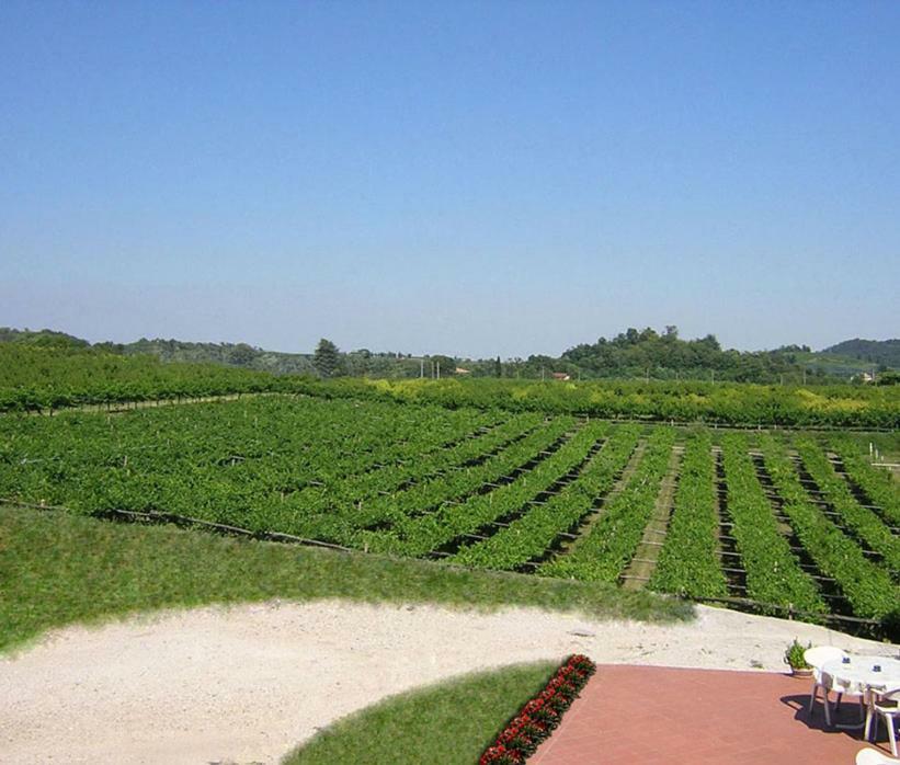 Agriturismo San Francesco Villa Valeggio sul Mincio Buitenkant foto