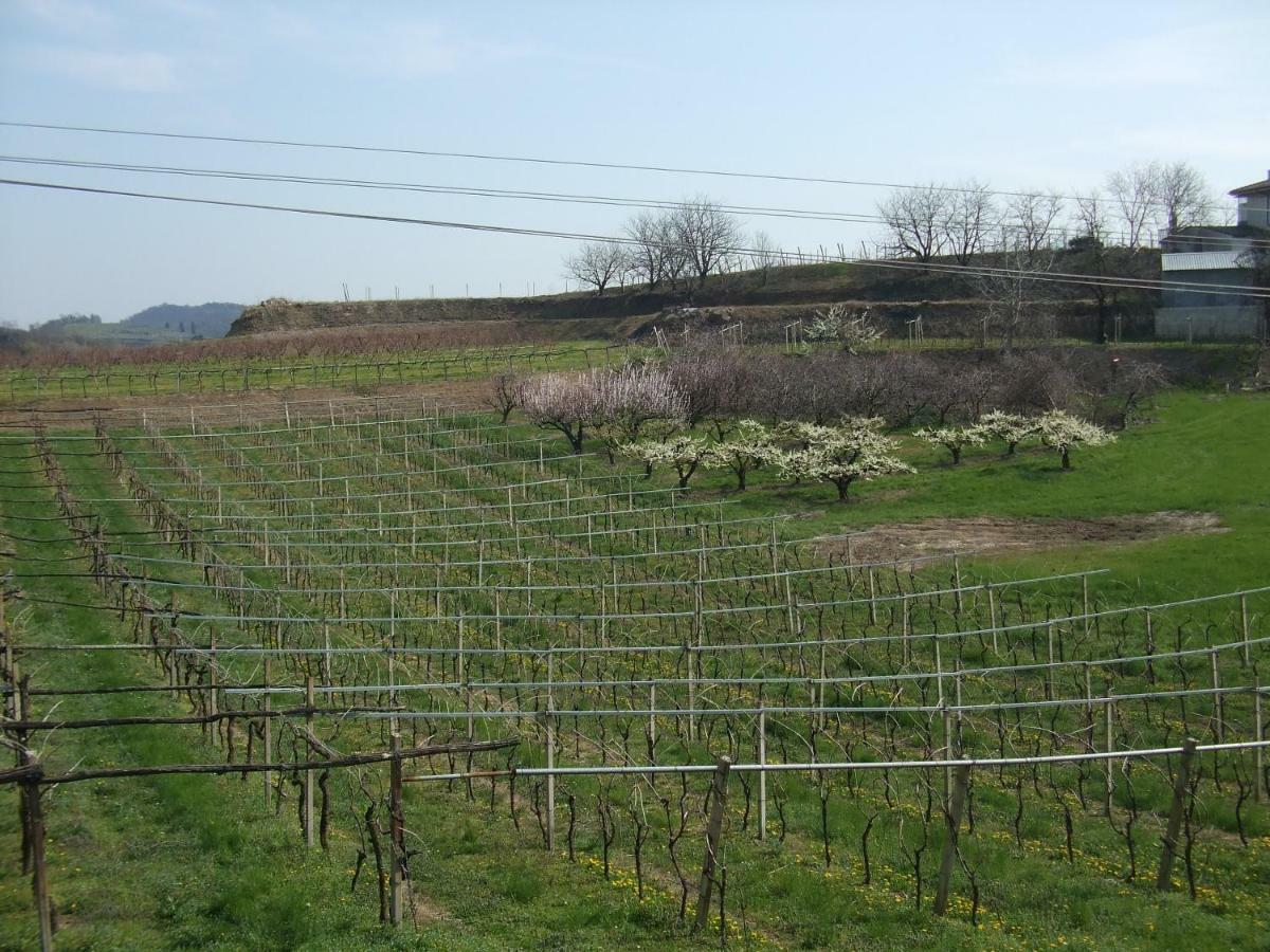 Agriturismo San Francesco Villa Valeggio sul Mincio Buitenkant foto